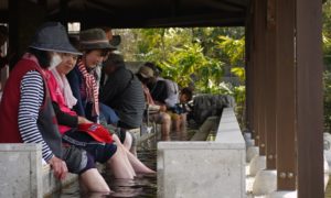 第23回【花はきりしま菜の花コース　約11㌔　参加人数1,430名】