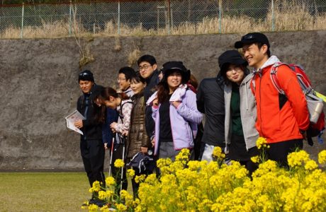 第23回【花はきりしま菜の花コース　約11㌔　参加人数1,430名】